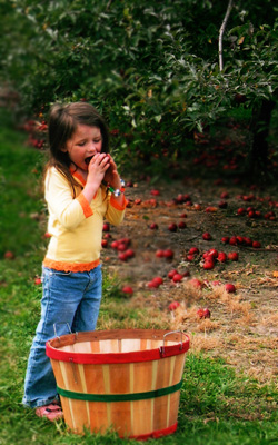 Apple Eating