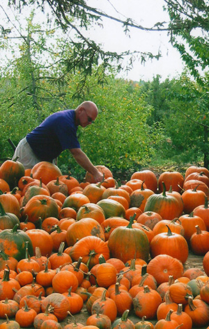 Picking Pumpkins