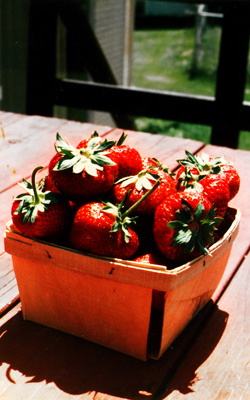 Stawberries