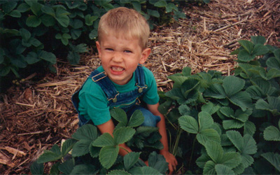 Strawberry Patch